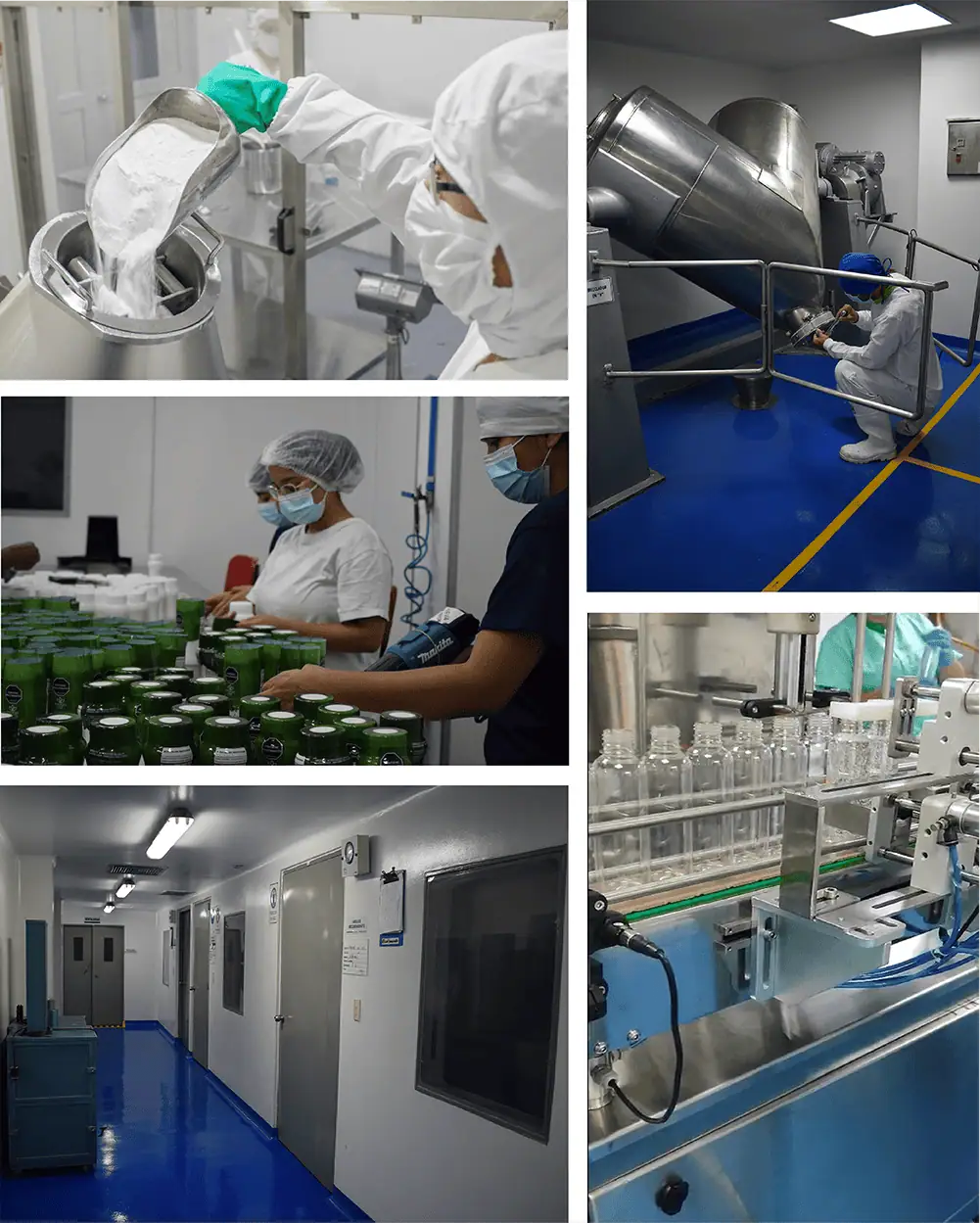 Planta de Stevia liquida y en polvo de Emigalife 