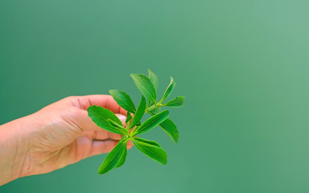 Los Beneficios Científicos de Consumir Stevia: Un Edulcorante Natural para la Salud